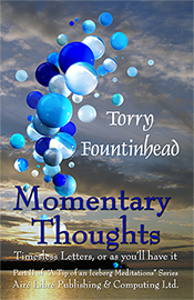 Momentary Thoughts by Torry Fountinhead