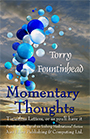 Momentary Thoughts - Part of A Tip of an Iceberg Meditations Series